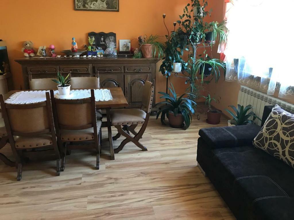 Malinowy Domek Mlynczyska Εξωτερικό φωτογραφία