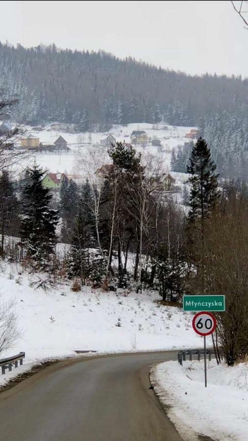 Malinowy Domek Mlynczyska Εξωτερικό φωτογραφία